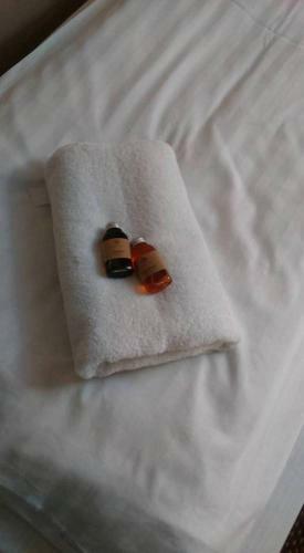 Hotel Dom Polski Z?ot�w