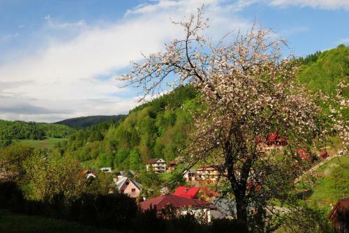 Apartamento Willa Janka