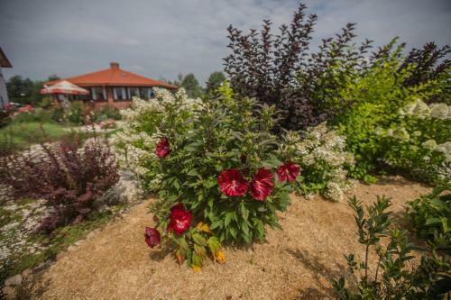 Hostal Pensjonat Pod Pieprz�wkami