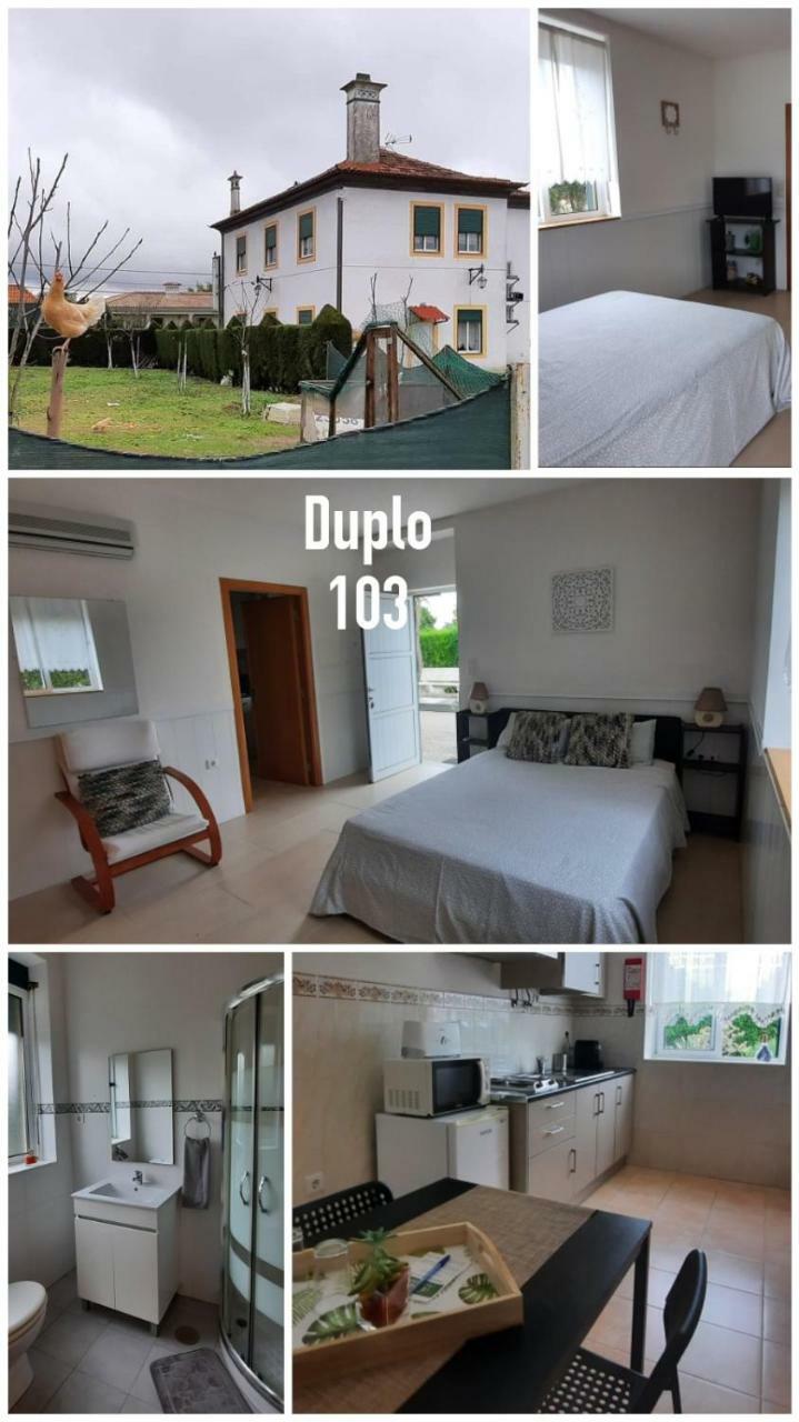 Apartamento Centen�ria
