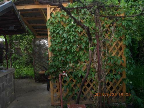 Vila Mihaela