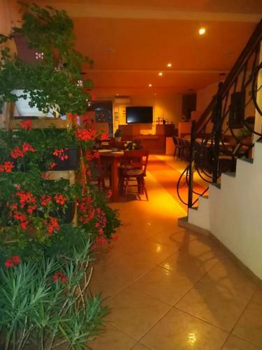 Motel Ioanis