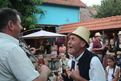 Csipkeszeg Bed & Breakfast Sic / Sz�k Romania