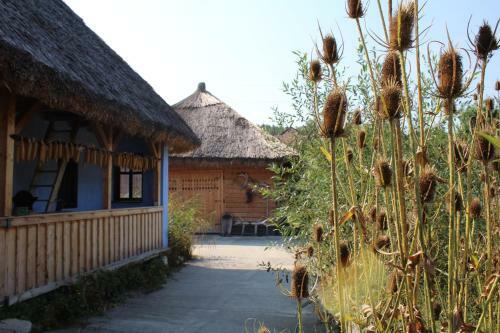 Csipkeszeg Bed & Breakfast Sic / Sz�k Romania