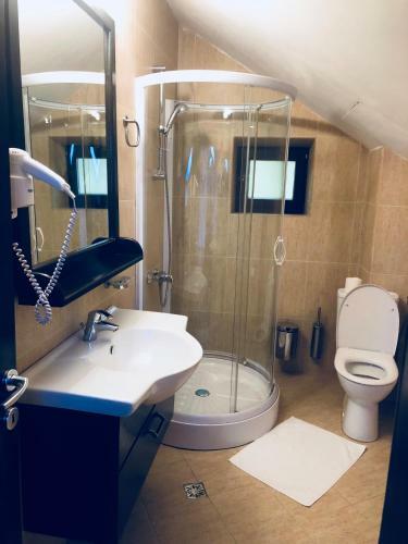 Hostal Pensiunea Casa Ancutei