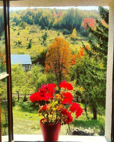 Hostal Etno Domacinstvo Saponjic