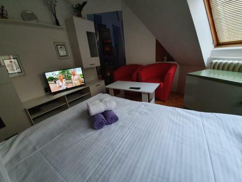 Apartamento Ivan's Penthouse