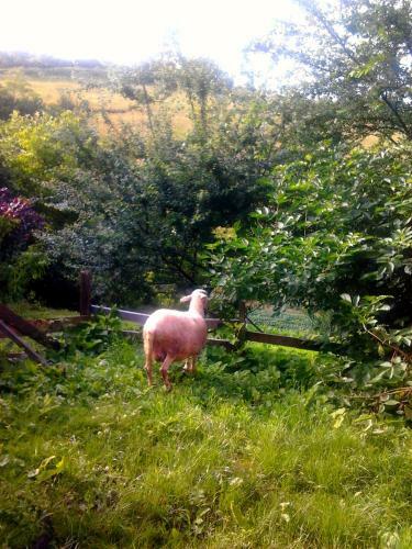 Agroturismo Country House Tomasevic