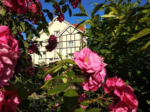 Golden Orchid Hotel