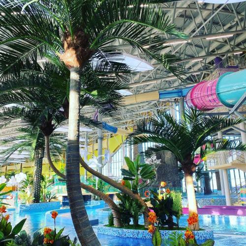 Hotel Riviera Wellness Resort