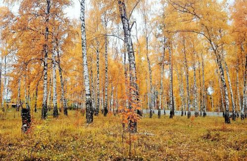 Hostal Gostinitsa Ussr