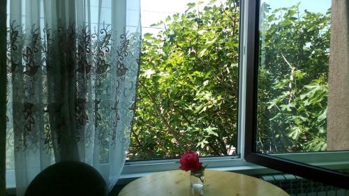 Hostal Guesthouse Garmonia