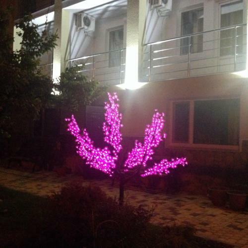 Hostal Golubaya Bukhta