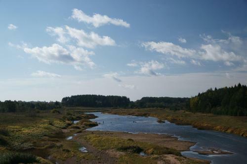 Ecofarm Of Nesterovi