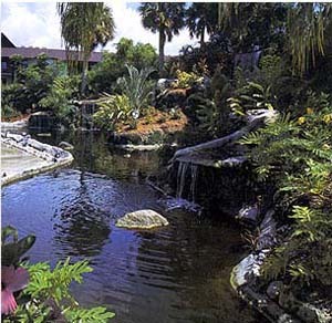 Hotel Park Shore Resort