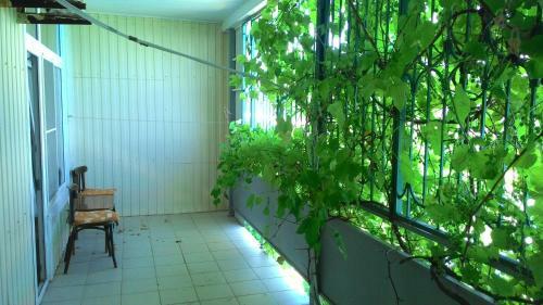 Hostal Guesthouse Loza