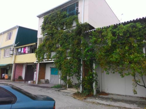 Hostal Guesthouse Loza