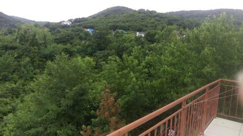 Hostal Guest House Faina
