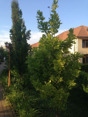 Apartments Sun