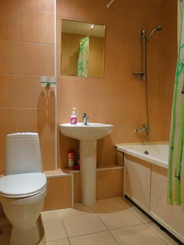 Apartments In The Center Of Omsk