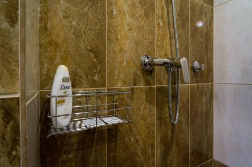 Posada Mini-hotel Filin