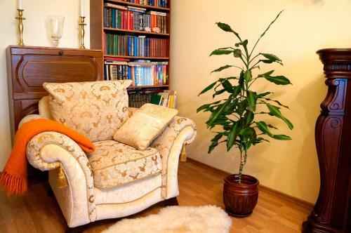 Apartment Nice Place
