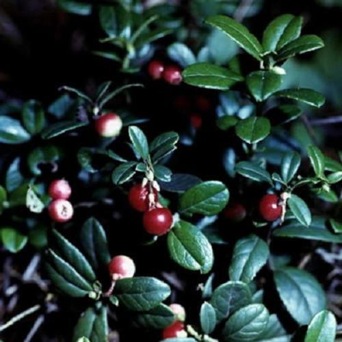 Khutorok Holiday Park