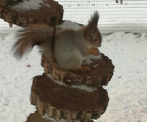 Hotel Night In Magic Villins Book