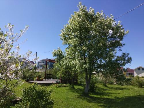 Hostal Guest House Kodikas