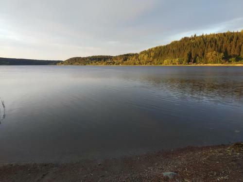 Hostal Guest House Kodikas