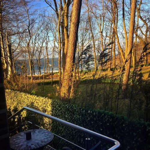 Lazurny Bereg Apartment 4