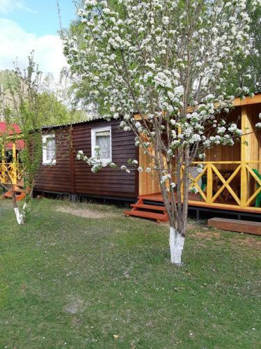 Hostal Selskaya Usadba