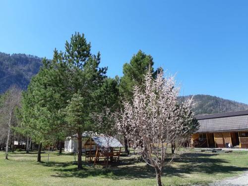 Hostal Selskaya Usadba