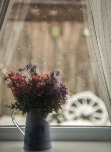 Losiniy Tupichok