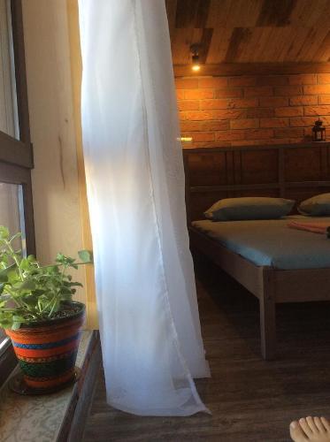 Hostal Free???