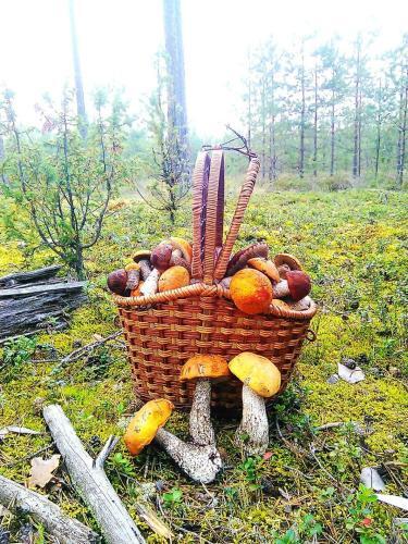 Agroturismo Baza Otdyha Valentinovka
