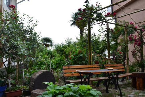 Hostal Anzhelika Albatros Guest House