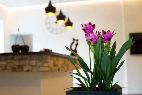 Aparthotel Kazina