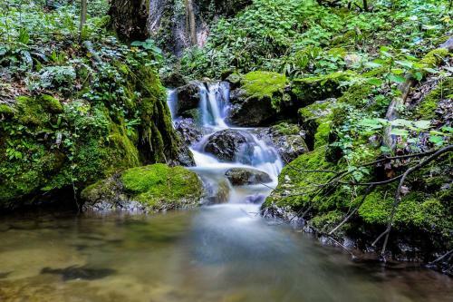 Hostel Kozmus