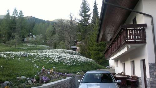 Hostal Penzion Pr' Betel