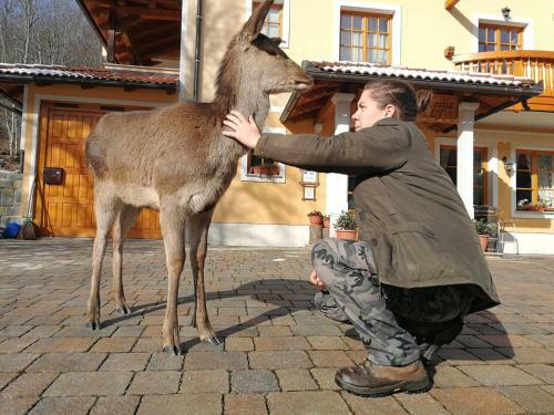Agroturismo Farm Stay Peternelj
