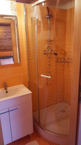 Apartment Zver