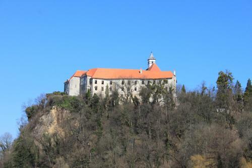 Hotel Botra