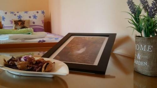 Bed & Breakfast Osterija Na Planinci