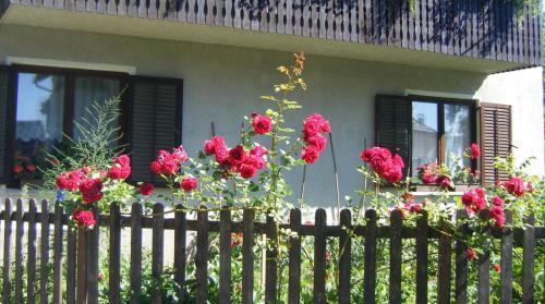 Hostal Guest House Kmetija
