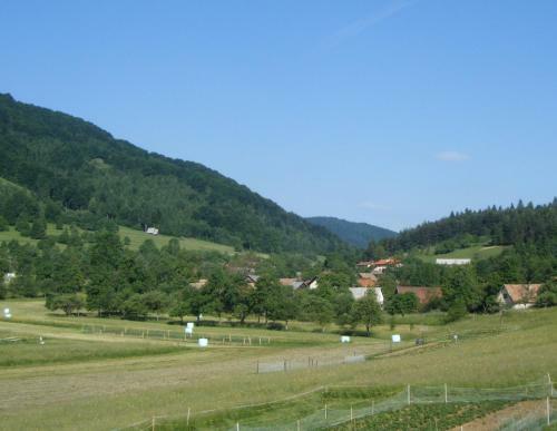 Hostal Guest House Kmetija