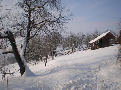 Agroturismo Pri Lazarju Farm Stay