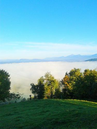 Agroturismo Pri Lazarju Farm Stay