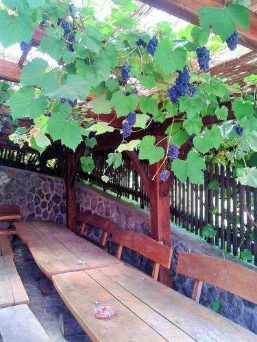 Agroturismo Pri Lazarju Farm Stay