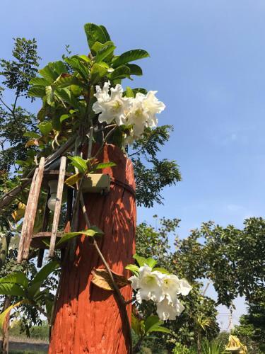 Hotel Baan Suan Rim Nam